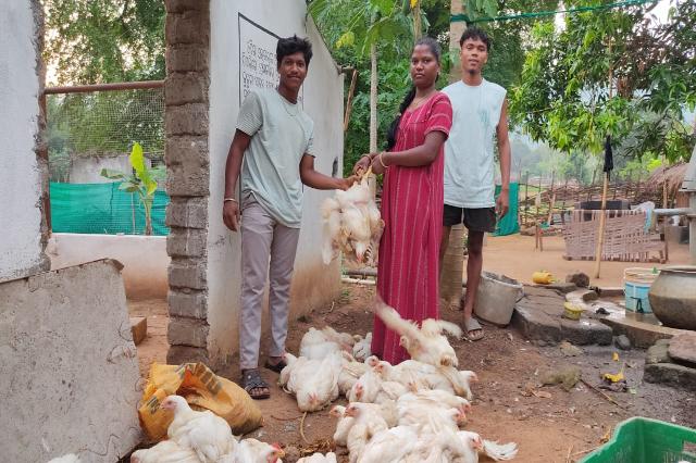 Livelihood & Food Security