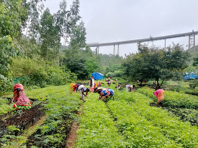HARITA Part-01 (Nursery Raising) — Climate Resilience