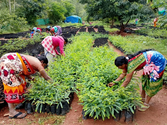 HARITA Part-02 (Agro-Forestry) — Empowering Women